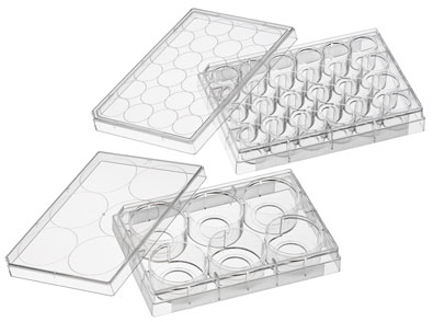 CLS-1812 GLASS BOTTOM CELL CULTURE PLATES