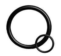 O-RINGS, KALREZ® 4079