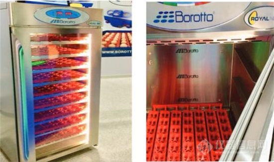 意大利Borotto大型智能孵化器（同时孵化8-900枚鸡蛋/台）
